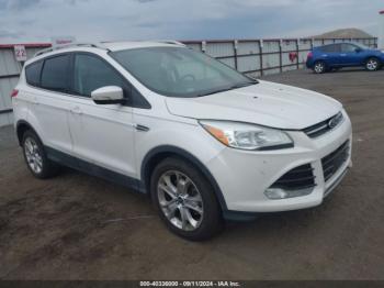  Salvage Ford Escape