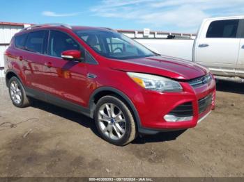  Salvage Ford Escape