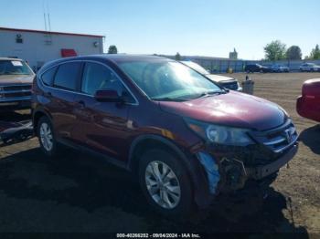  Salvage Honda CR-V