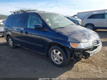  Salvage Honda Odyssey