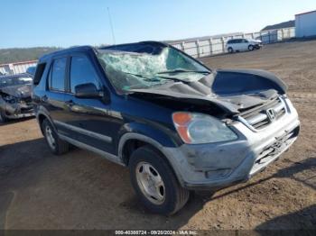  Salvage Honda CR-V