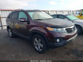  Salvage Kia Sorento