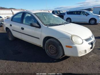  Salvage Dodge Neon