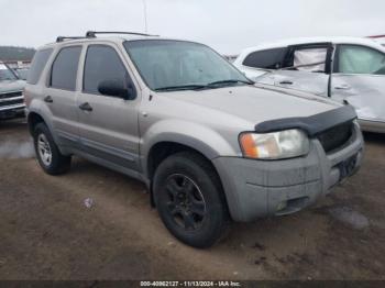  Salvage Ford Escape