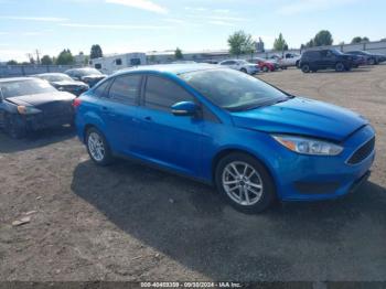  Salvage Ford Focus