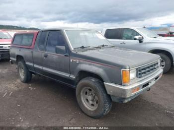  Salvage Dodge Ram 50