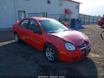  Salvage Dodge Neon