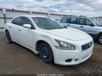  Salvage Nissan Maxima