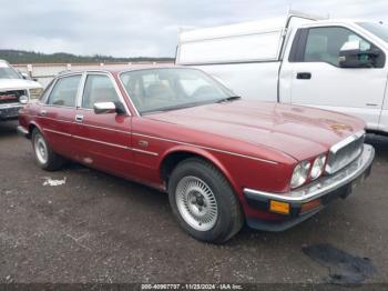  Salvage Jaguar Vandenplas