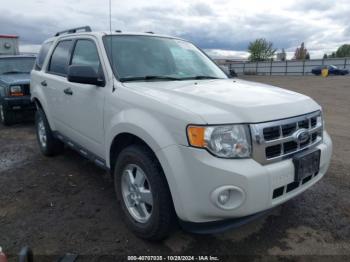  Salvage Ford Escape