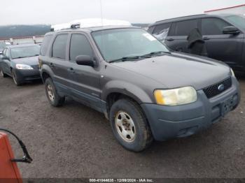  Salvage Ford Escape