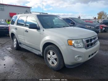  Salvage Ford Escape