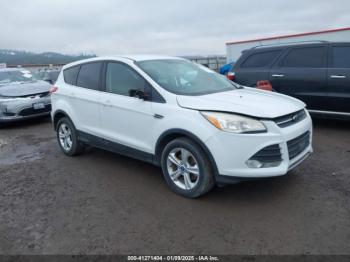  Salvage Ford Escape