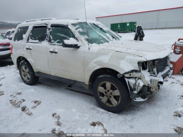  Salvage Ford Escape