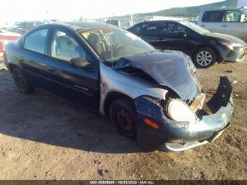  Salvage Dodge Neon