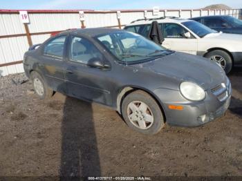  Salvage Dodge Neon