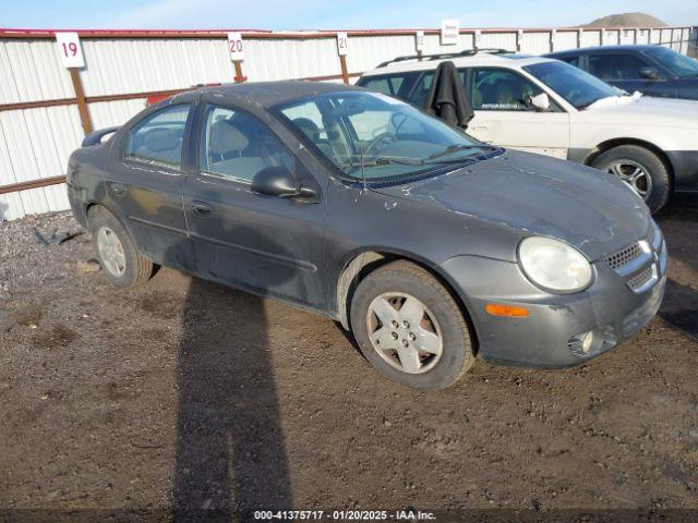  Salvage Dodge Neon