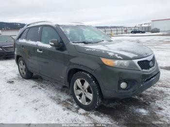  Salvage Kia Sorento