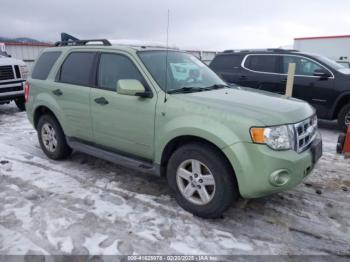  Salvage Ford Escape