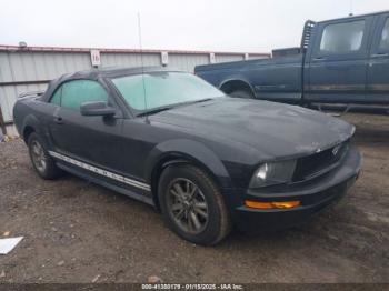  Salvage Ford Mustang