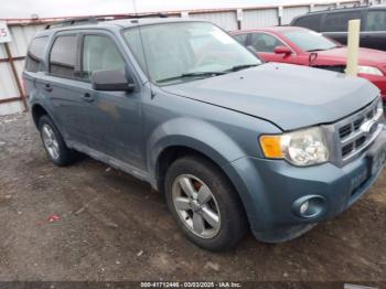  Salvage Ford Escape