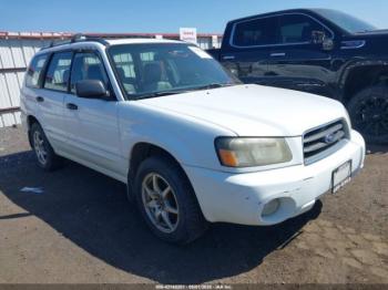  Salvage Subaru Forester