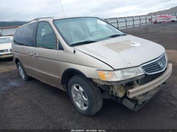  Salvage Honda Odyssey