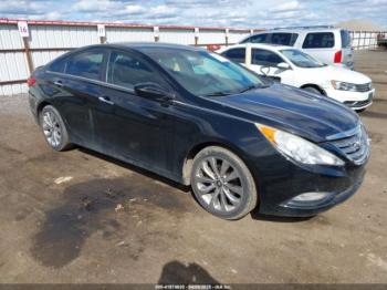  Salvage Hyundai SONATA