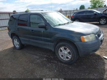  Salvage Ford Escape