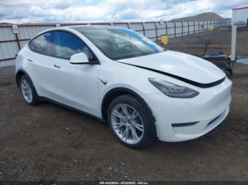  Salvage Tesla Model Y