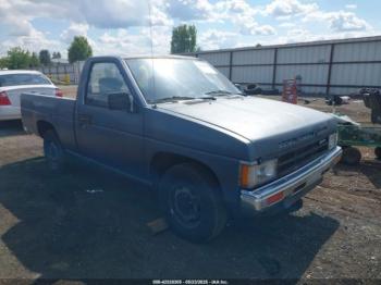  Salvage Nissan D21