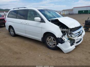  Salvage Honda Odyssey