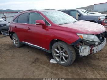  Salvage Lexus RX