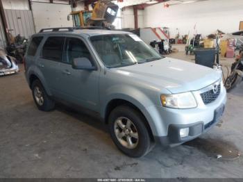  Salvage Mazda Tribute