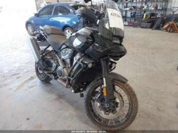  Salvage Harley-Davidson Ra1250
