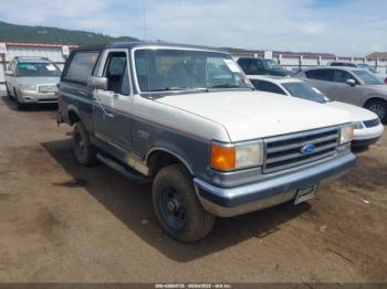  Salvage Ford Bronco
