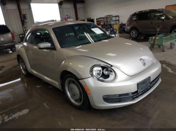  Salvage Volkswagen Beetle