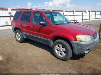  Salvage Ford Escape