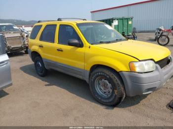 Salvage Ford Escape