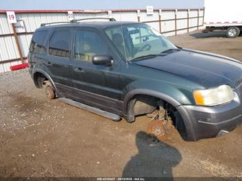  Salvage Ford Escape