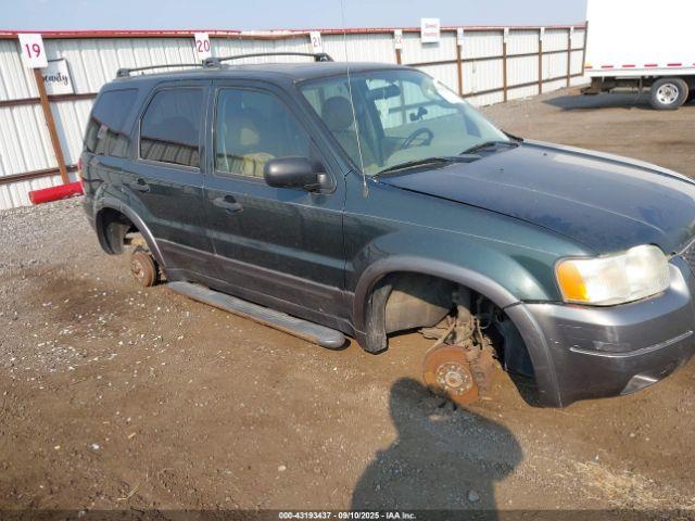  Salvage Ford Escape