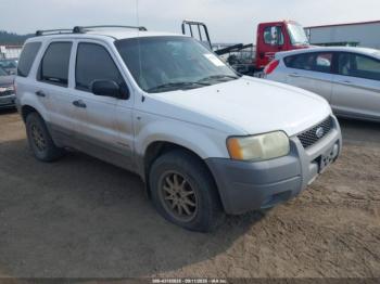  Salvage Ford Escape