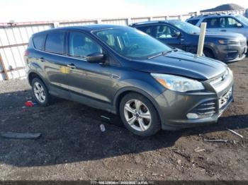  Salvage Ford Escape