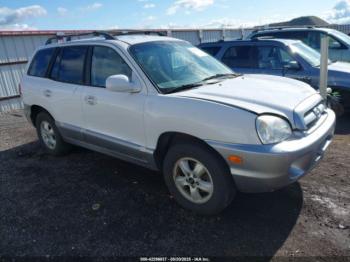  Salvage Hyundai SANTA FE