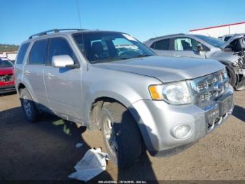  Salvage Ford Escape