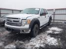 Ford F-150 Xlt Image 4