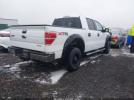 Ford F-150 Xlt Image 7