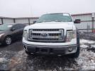 Ford F-150 Xlt Image 2