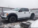 Ford F-150 Xlt Image 15